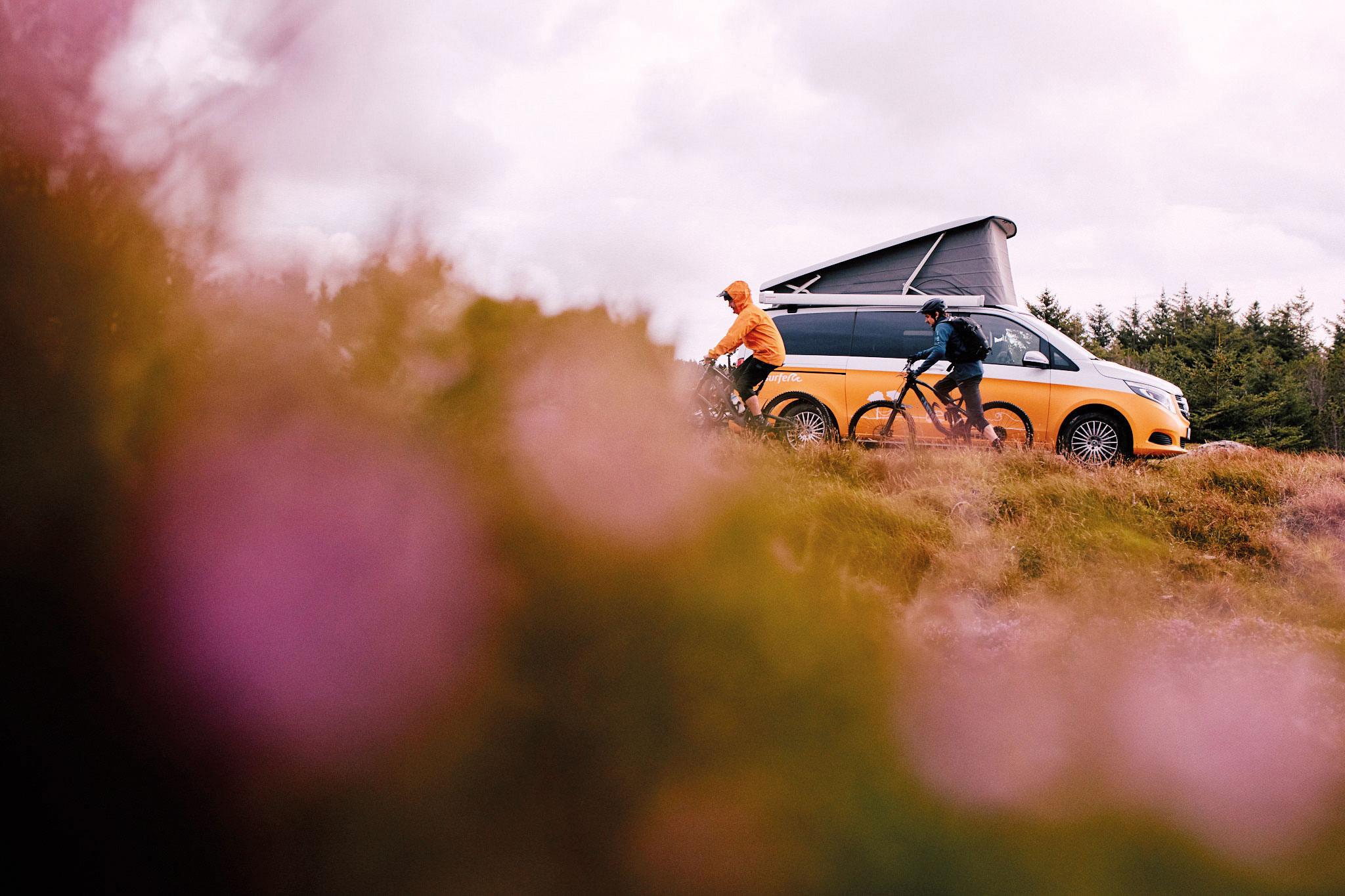 Zwei Personen fahren auf Fahrrädern an einem gelben Campervan mit ausgeklapptem Dach vorbei, inmitten einer natürlichen Landschaft mit unscharfen, violetten Pflanzen im Vordergrund. Der Himmel ist bewölkt.